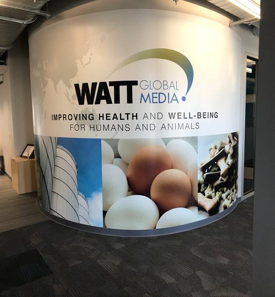 Watt Global Media